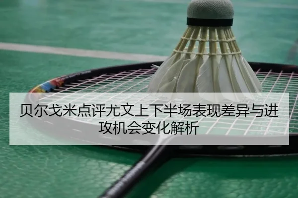 贝尔戈米点评尤文上下半场表现差异与进攻机会变化解析 | leyusports
